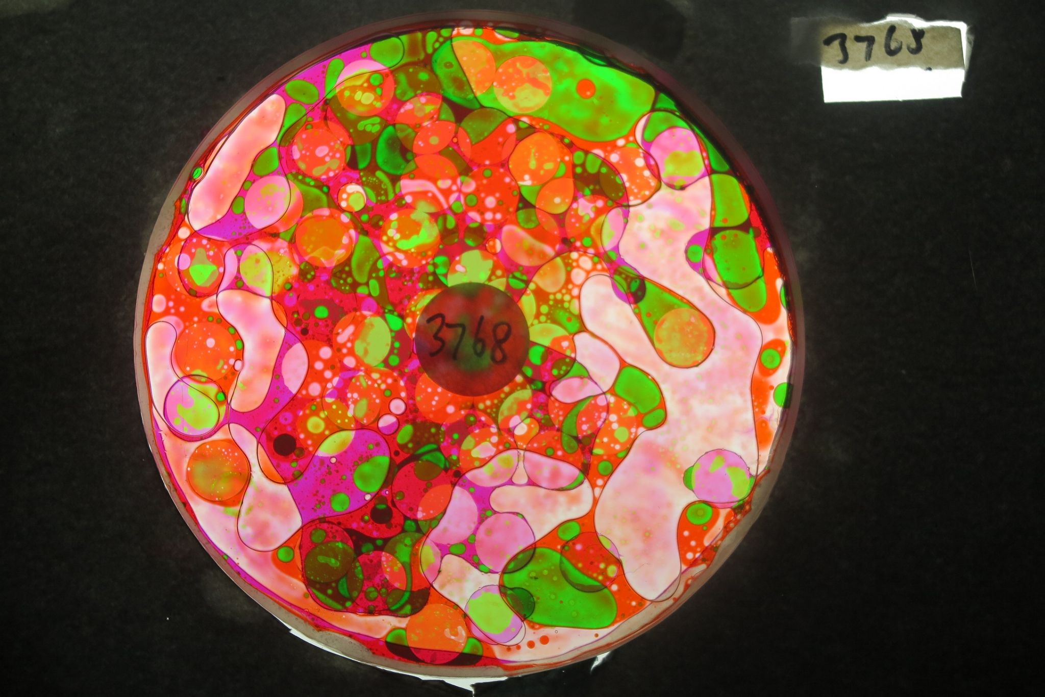 BV3768 bubble vision oil wheel